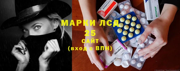 стафф Елизово