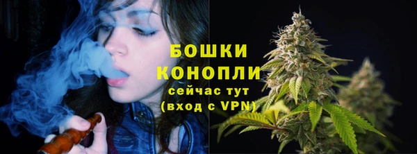 прущие грибы Дмитриев