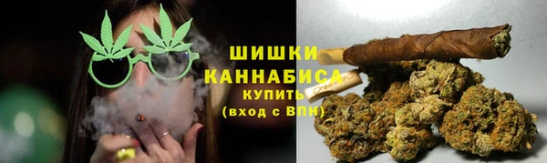 стафф Елизово