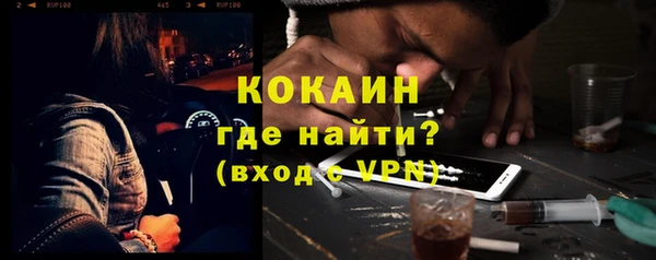 стафф Елизово