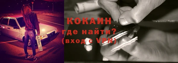 стафф Елизово