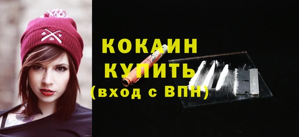стафф Елизово
