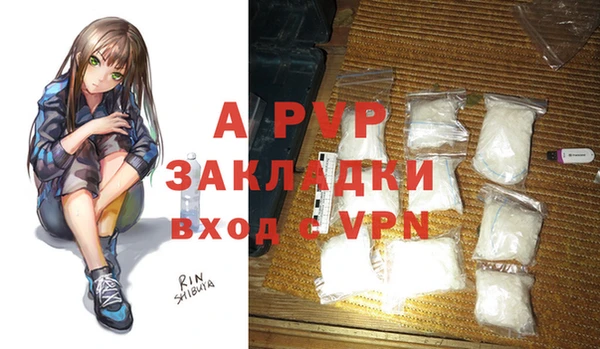 стафф Елизово
