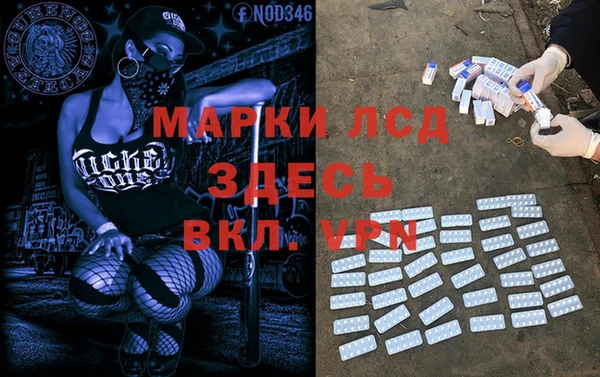 стафф Елизово