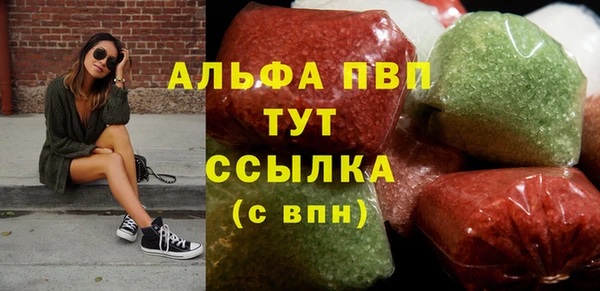 стафф Елизово