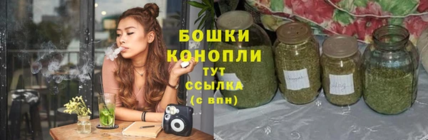 стафф Елизово
